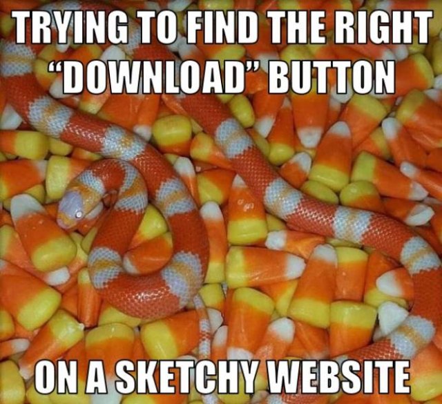 Acid Picdump. Part 2 (92 pics)