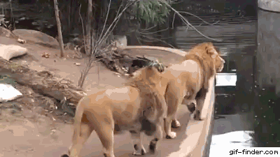 Acid Gifdump, October 21 (25 gifs)