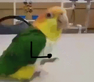 Acid Gifdump, October 21 (25 gifs)