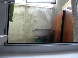 Acid Gifdump, October 21 (25 gifs)