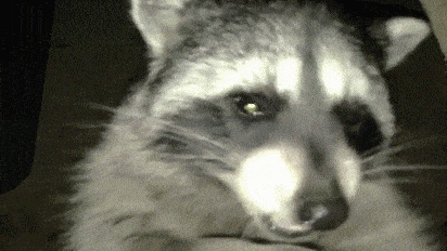 Acid Gifdump, October 21 (25 gifs)