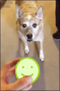Acid Gifdump, October 21 (25 gifs)