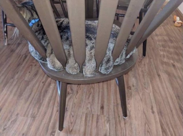 Acid Picdump. Part 1 (91 pics)