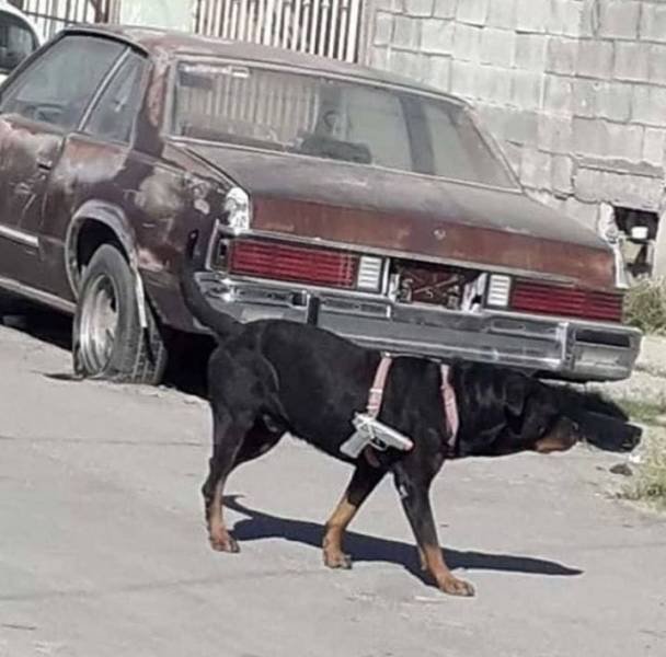 Acid Picdump. Part 1 (91 pics)