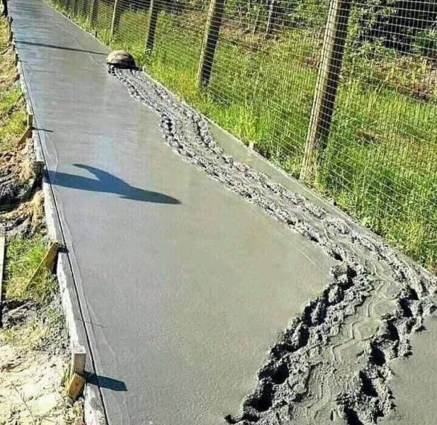 Acid Picdump. Part 1 (91 pics)