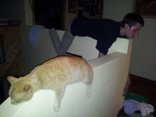 Acid Picdump. Part 1 (91 pics)