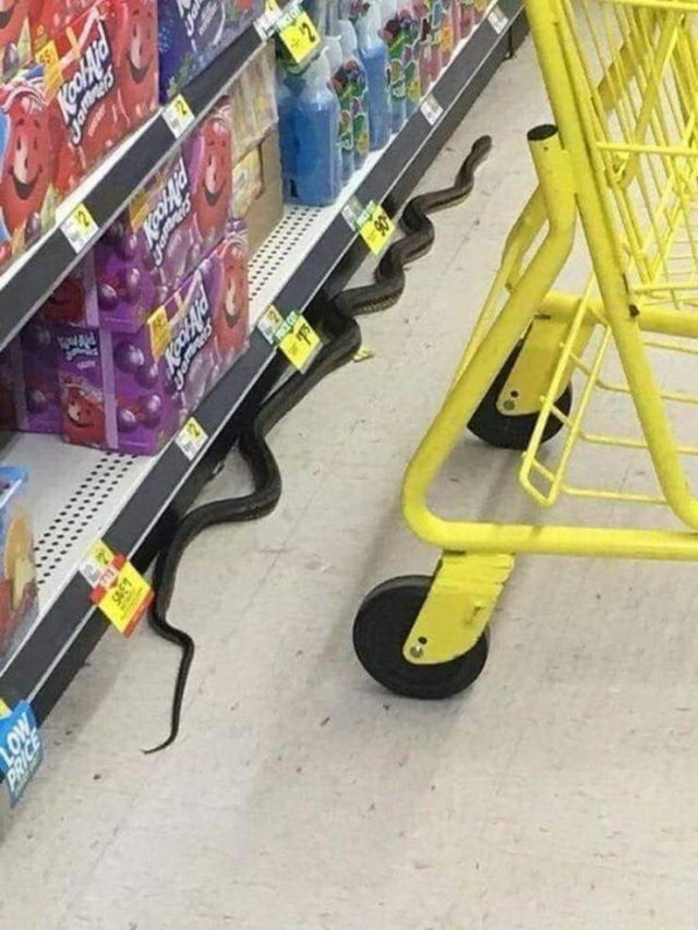 Acid Picdump. Part 1 (91 pics)