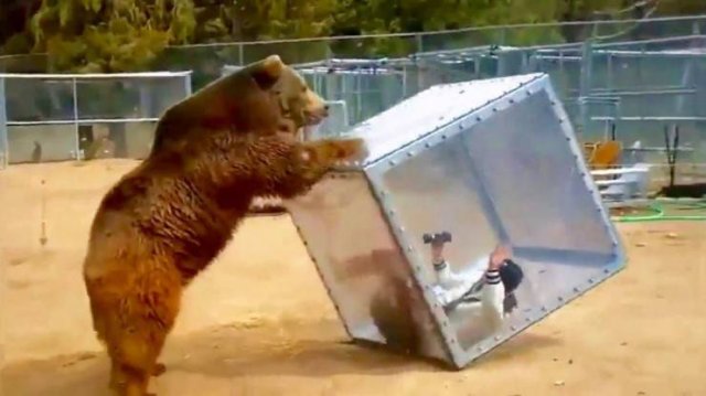 Acid Picdump. Part 1 (91 pics)