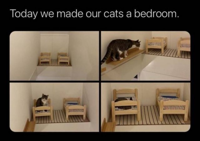 Acid Picdump. Part 1 (91 pics)