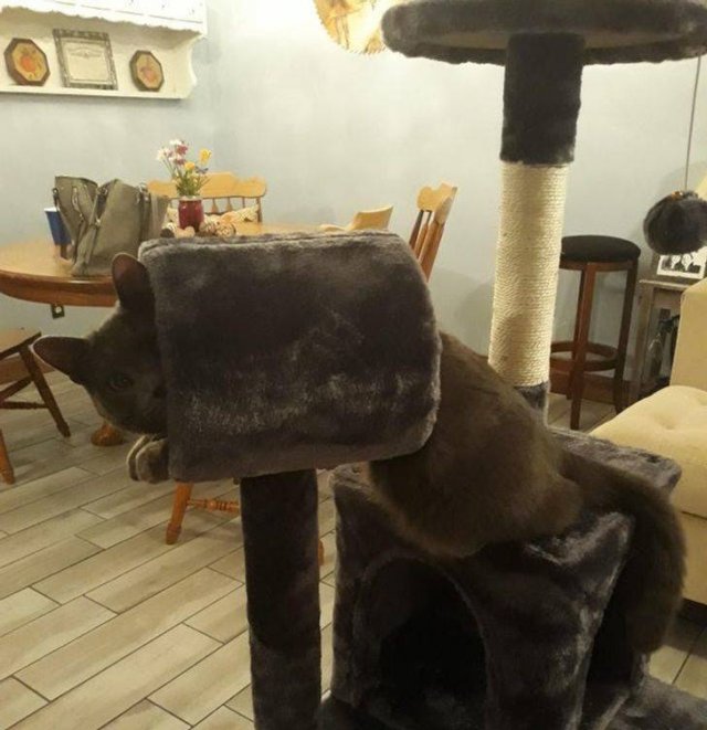 Online Shopping Went Wrong (18 pics)
