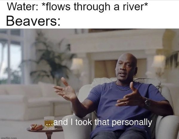 So True (43 pics)