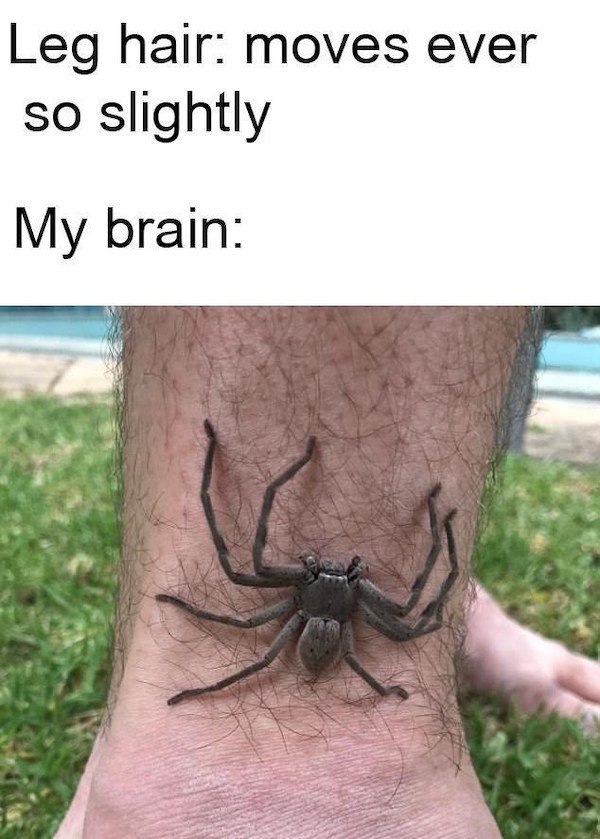 So True (43 pics)