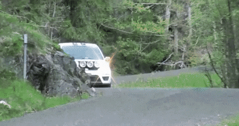 Acid Gifdump, October 22 (25 gifs)