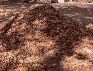 Acid Gifdump, October 22 (25 gifs)