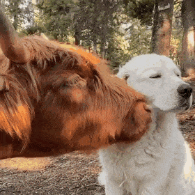 Acid Gifdump, October 22 (25 gifs)