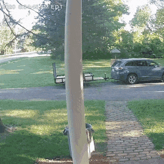 Acid Gifdump, October 22 (25 gifs)