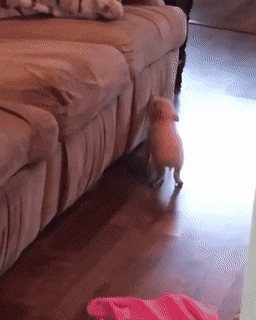 Acid Gifdump, October 22 (25 gifs)
