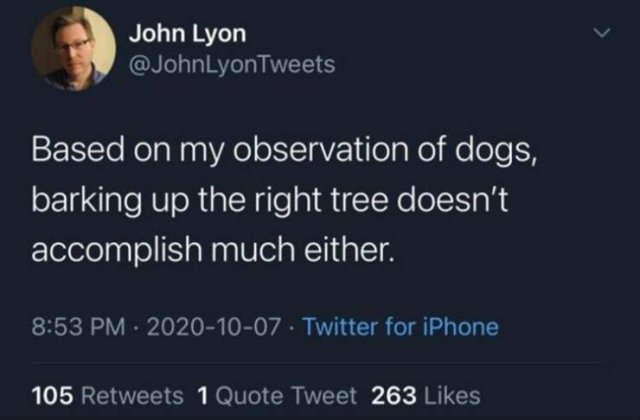Funny Tweets (23 pics)