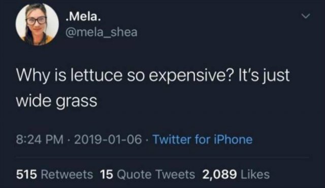 Funny Tweets (23 pics)