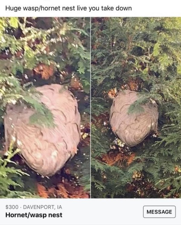 These People Know How To Sell (34 pics)