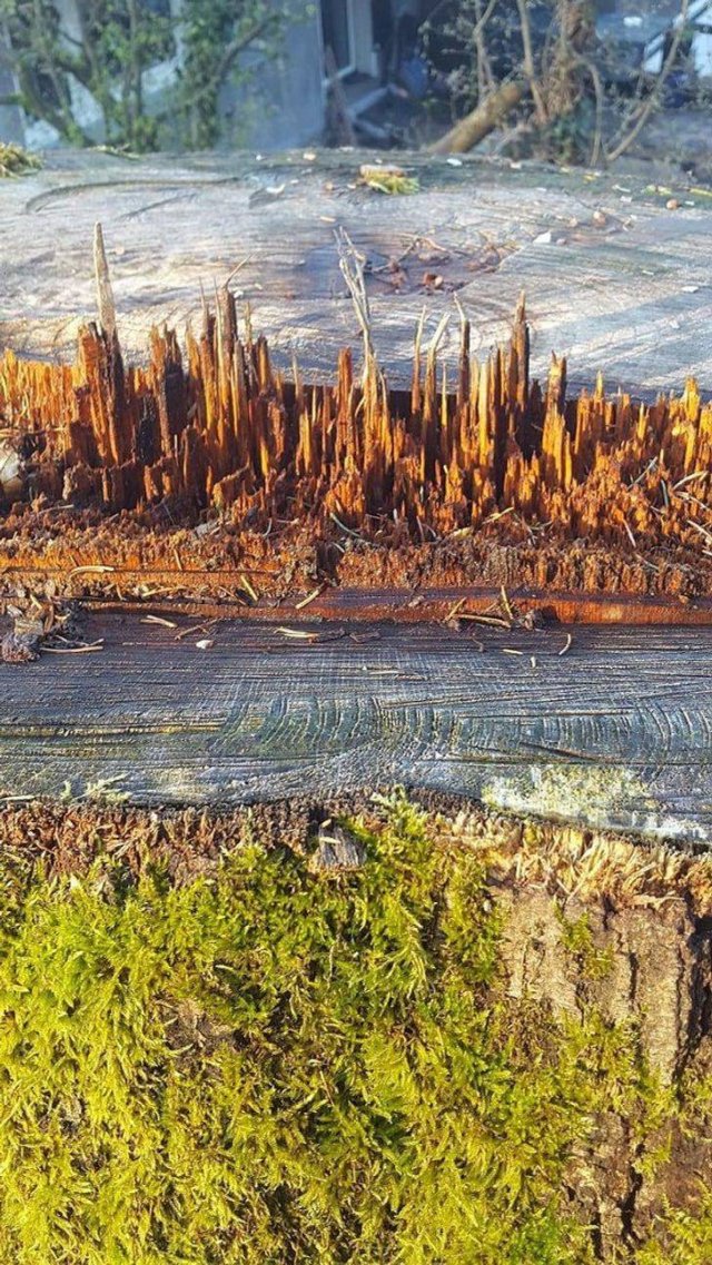 Interesting Findings (17 pics)