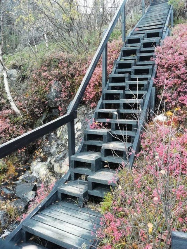 Interesting Findings (17 pics)