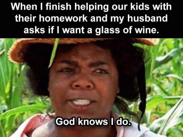 Random Funny Memes (169 pics)