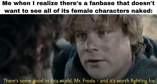 LOTR Memes (27 pics)