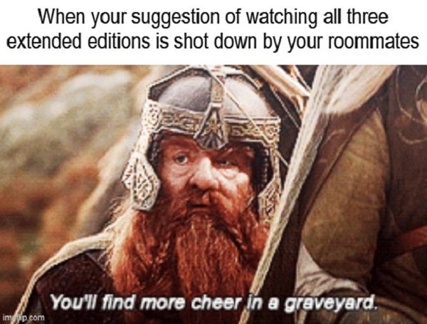 LOTR Memes (27 pics)