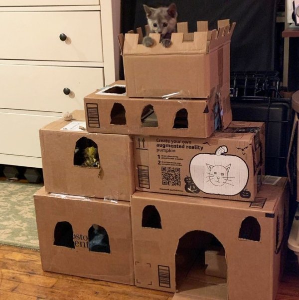 DIY Cat Forts (30 pics)