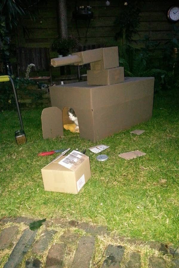 DIY Cat Forts (30 pics)