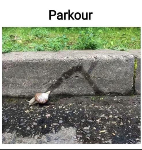Hilarious Memes (25 pics)