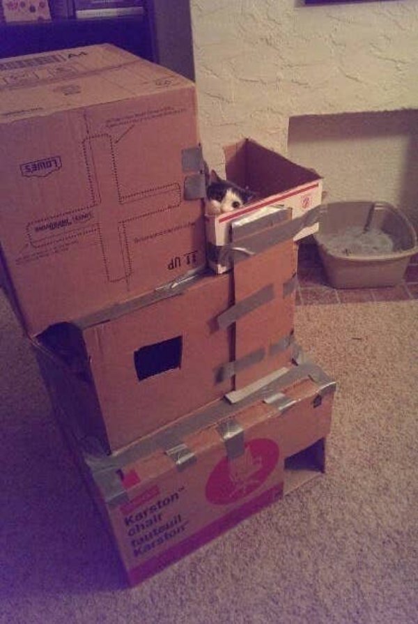 DIY Cat Forts (30 pics)