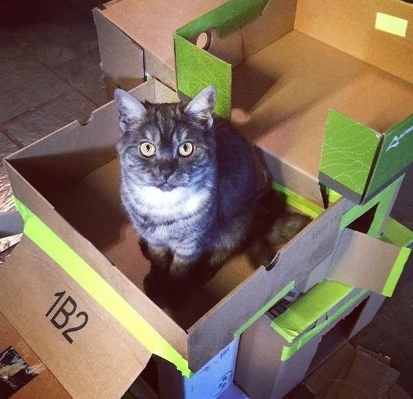 DIY Cat Forts (30 pics)