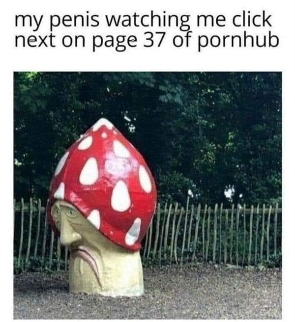 Hilarious Memes (25 pics)