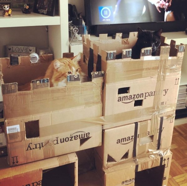 DIY Cat Forts (30 pics)