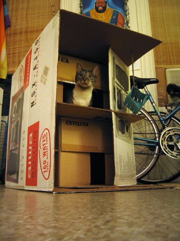 DIY Cat Forts (30 pics)
