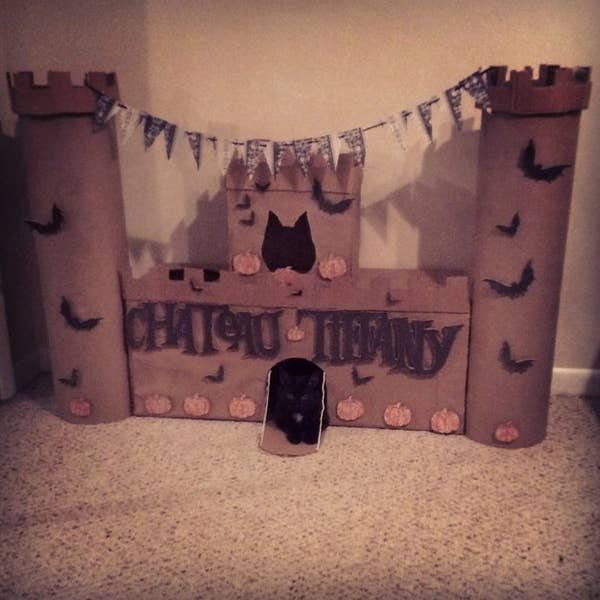 DIY Cat Forts (30 pics)