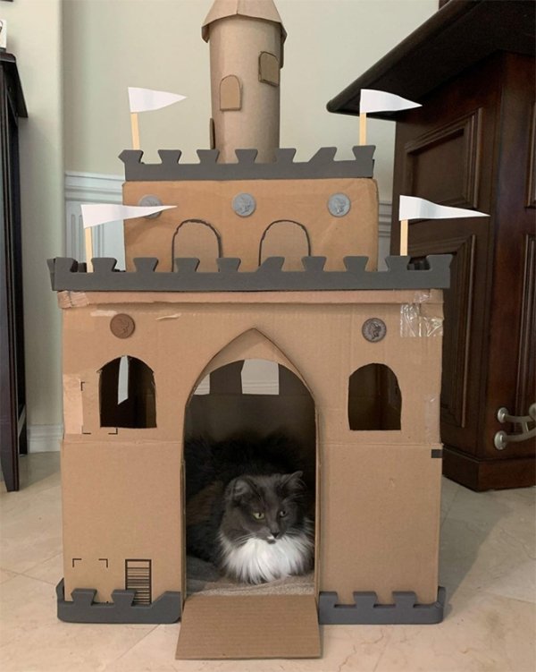 DIY Cat Forts (30 pics)
