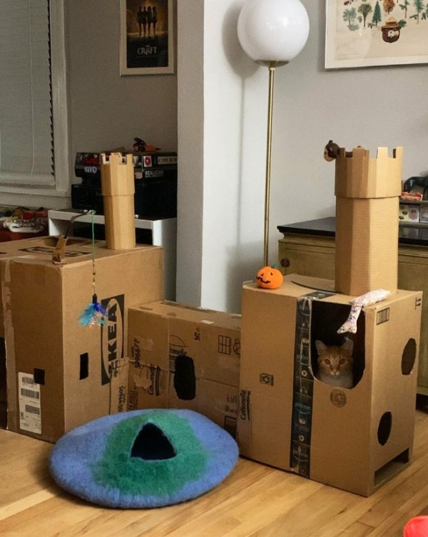 DIY Cat Forts (30 pics)
