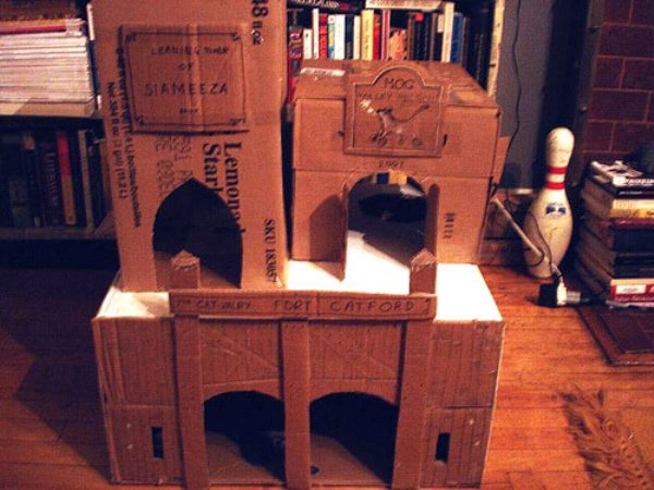 DIY Cat Forts (30 pics)