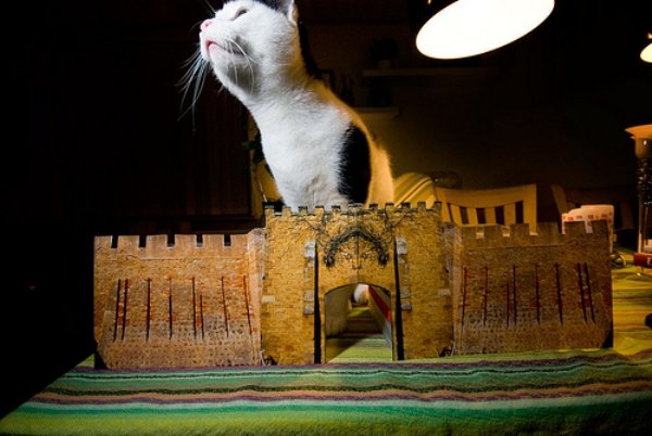 DIY Cat Forts (30 pics)