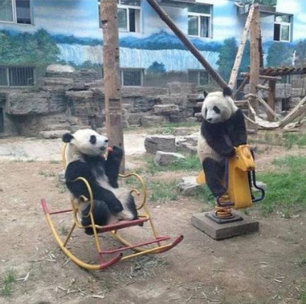 Acid Picdump. Part 1 (96 pics)