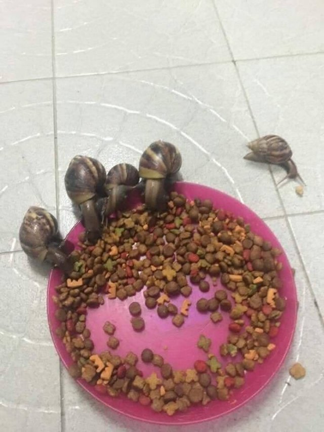 Acid Picdump. Part 1 (96 pics)