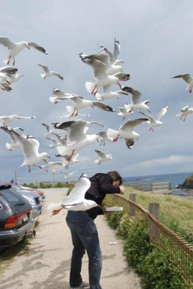 Acid Picdump. Part 1 (96 pics)