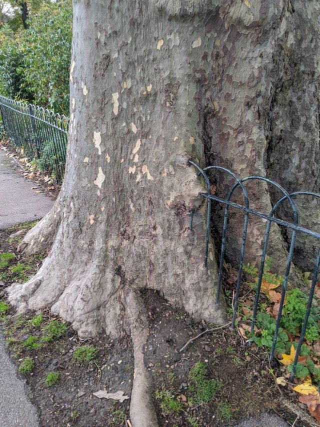 Acid Picdump. Part 1 (96 pics)