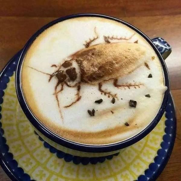 Acid Picdump. Part 1 (96 pics)
