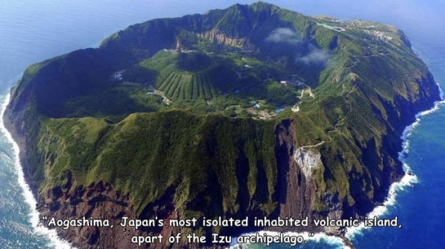 Acid Picdump. Part 1 (96 pics)