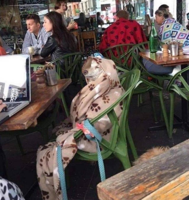 Acid Picdump. Part 1 (96 pics)