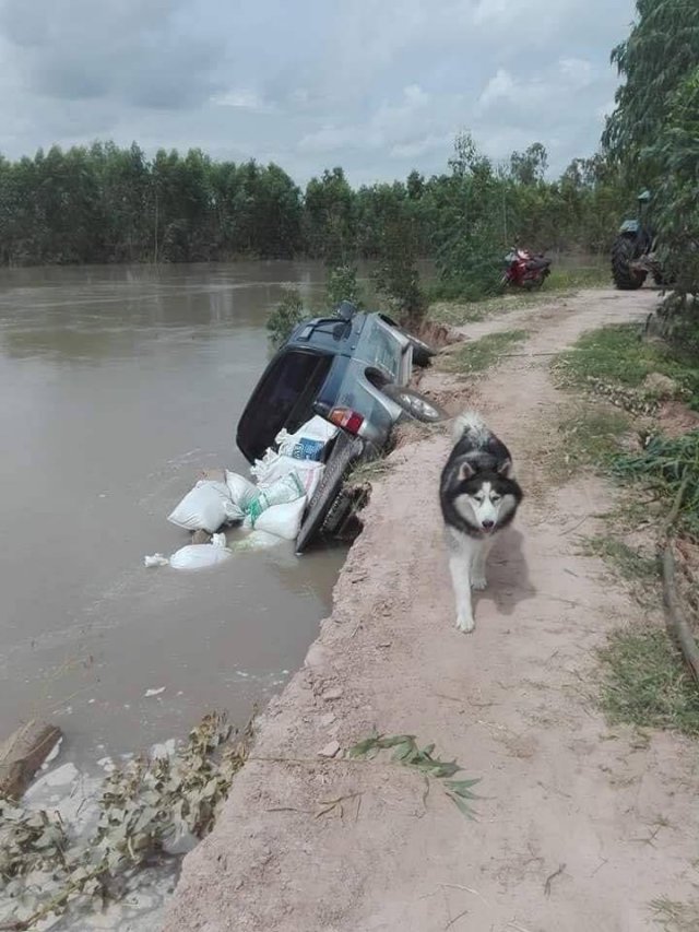 Acid Picdump. Part 1 (96 pics)